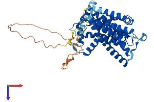 AlphaFold protein structure predicition of Mouse Recombinant Sgpp1 Protein, UniprotID Q9JI99