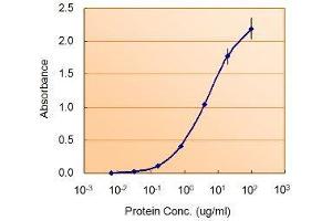 Nodal Homolog (NODAL) peptide