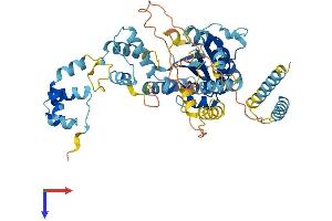 AlphaFold protein structure predicition of Mouse Recombinant Tigd2 Protein, UniprotID Q0VBL1