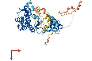 AlphaFold protein structure predicition of Human Recombinant CAMK1 Protein, UniprotID Q14012