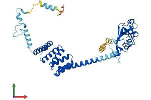 AlphaFold protein structure predicition of Human Recombinant TTC4 Protein, UniprotID O95801