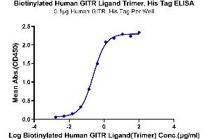 Immobilized Human GITR, His Tag at 1 μg/mL (100 μL/Well).