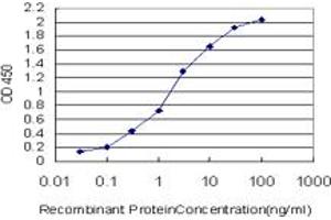 Detection limit for recombinant GST tagged BARX1 is approximately 0. (BARX1 anticorps  (AA 1-100))