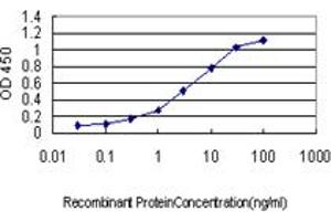 Detection limit for recombinant GST tagged ICOSLG is approximately 0. (ICOSLG anticorps  (AA 20-302))