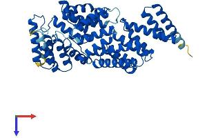 AlphaFold protein structure predicition of Human Recombinant IFIT1 Protein, UniprotID P09914