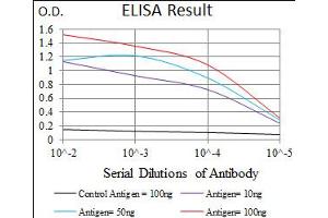 Image no. 3 for anti-BPI Fold Containing Family A, Member 2 (BPIFA2) antibody (ABIN1490989) (BPIFA2 anticorps)