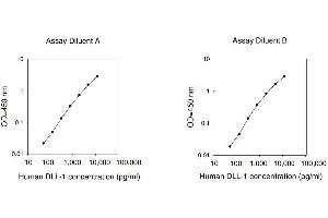 ELISA image for delta-Like 1 (DLL1) ELISA Kit (ABIN1979511)
