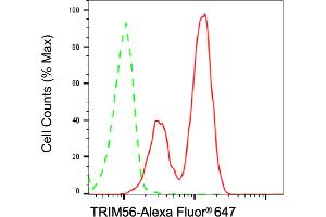 Flow cytometric analysis of TRIM56 expression in HT- cells using TRIM56 antibody (ABIN7800639), 1:2,000). (Recombinant TRIM56 anticorps)