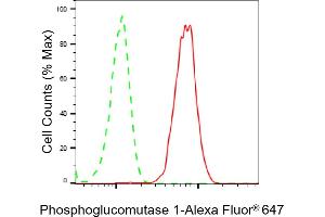 Flow cytometric analysis of Phosphoglucomutase 1 expression in HepG2 cells using Phosphoglucomutase 1 antibody (ABIN7799805), 1:2,000). (Recombinant Phosphoglucomutase 1 anticorps)