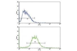 Flow cytometric analysis of HepG2 cells using IL17RB antibody (bottom histogram) compared to a negative control (top histogram). (IL17 Receptor B anticorps  (AA 207-234))