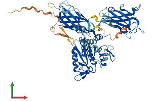 AlphaFold protein structure predicition of Mouse Recombinant Cpne5 Protein, UniprotID Q8JZW4