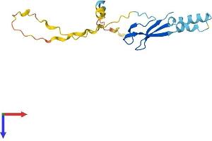 AlphaFold protein structure predicition of Human Recombinant LITAF Protein, UniprotID Q99732