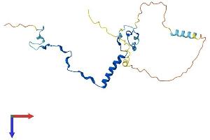 AlphaFold protein structure predicition of Mouse Recombinant Polr3g Protein, UniprotID Q6NXY9