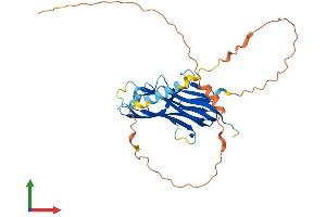 AlphaFold protein structure predicition of Mouse Recombinant Tnfsf9 Protein, UniprotID P41274