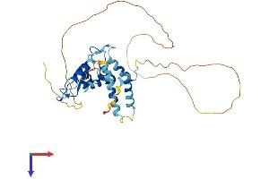 AlphaFold protein structure predicition of Human Recombinant QKI Protein, UniprotID Q96PU8