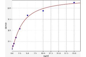Typical standard curve (Calretinin Kit ELISA)