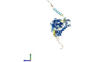 AlphaFold protein structure predicition of Mouse Recombinant Slc1a3 Protein, UniprotID P56564