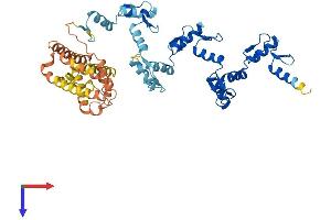 AlphaFold protein structure predicition of Human Recombinant ZNF596 Protein, UniprotID Q8TC21