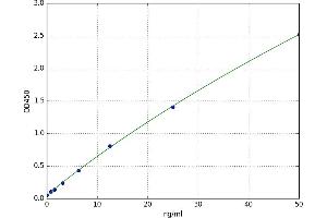 CD68 Molecule (CD68) ELISA Kit
