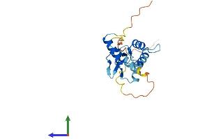 AlphaFold protein structure predicition of Mouse Recombinant Sap30l Protein, UniprotID Q5SQF8