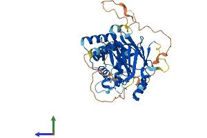 AlphaFold protein structure predicition of Mouse Recombinant Irf8 Protein, UniprotID P23611