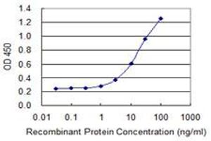 Detection limit for recombinant GST tagged SERPINB9 is 0.