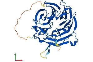 AlphaFold protein structure predicition of Human Recombinant RAE1 Protein, UniprotID P78406