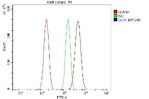 Flow Cytometry analysis of Neuro-2a cells using anti-Olr1 antibody (ABIN7602018). (OLR1 anticorps  (AA 55-364))