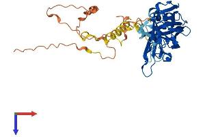 AlphaFold protein structure predicition of Mouse Recombinant Doc2a Protein, UniprotID Q7TNF0