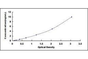 ELISA image for Programmed Cell Death 1 Ligand 2 (PDCD1LG2) ELISA Kit (ABIN417525)