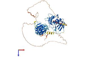 AlphaFold protein structure predicition of Human Recombinant HNRNPL Protein, UniprotID P14866