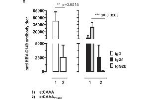Expression and characterization of a mutant HBV-stCAAA and HBV-stCAAAY132A antigen.