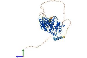 AlphaFold protein structure predicition of Human Recombinant ARHGAP15 Protein, UniprotID Q53QZ3