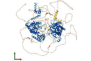 AlphaFold protein structure predicition of Human Recombinant TUT7 Protein, UniprotID Q5VYS8