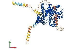 AlphaFold protein structure predicition of Mouse Recombinant Pde7a Protein, UniprotID P70453