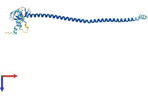 AlphaFold protein structure predicition of Human Recombinant TRIM73 Protein, UniprotID Q86UV7