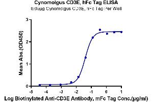 Immobilized Cynomolgus CD3E, hFc Tag at 0. (CD3 epsilon Protein (CD3E) (AA 22-117) (Fc Tag))