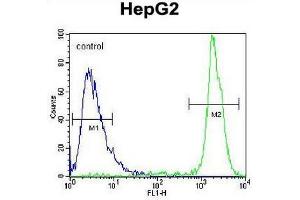 GPAM Antibody (Center) flow cytometric analysis of HepG2 cells (right histogram) compared to a negative control cell (left histogram). (GPAM anticorps  (Middle Region))