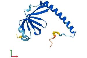 AlphaFold protein structure predicition of Human Recombinant LSM1 Protein, UniprotID O15116