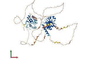 AlphaFold protein structure predicition of Human Recombinant DUSP8 Protein, UniprotID Q13202