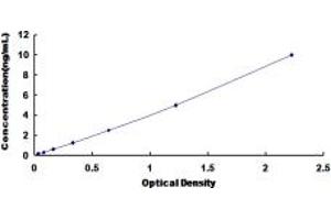 Typical standard curve (LIM Domain Binding 1 Protein Kit ELISA)
