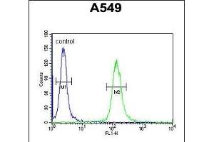 LOH12CR1 Antibody (C-term) (ABIN651991 and ABIN2840485) flow cytometric analysis of A549 cells (right histogram) compared to a negative control cell (left histogram). (LOH12CR1 anticorps  (C-Term))