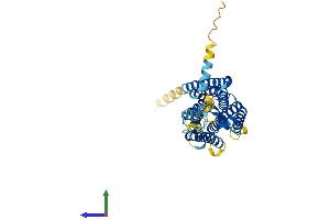 AlphaFold protein structure predicition of Human Recombinant GPR85 Protein, UniprotID P60893