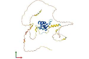 AlphaFold protein structure predicition of Mouse Recombinant Foxe1 Protein, UniprotID Q8R2I0
