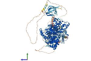 AlphaFold protein structure predicition of Mouse Recombinant Nos1 Protein, UniprotID Q9Z0J4