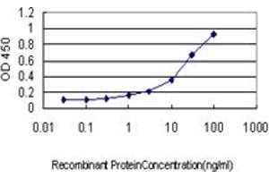 Detection limit for recombinant GST tagged SSR1 is approximately 1ng/ml as a capture antibody. (SSR1 anticorps  (AA 33-286))