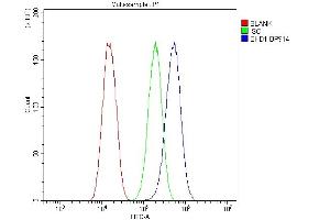 Flow Cytometry analysis of U87 cells using anti-EHD1 antibody (ABIN6719599). (EHD1 anticorps  (AA 324-516))