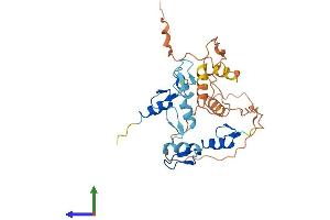 AlphaFold protein structure predicition of Human Recombinant OSR2 Protein, UniprotID Q8N2R0