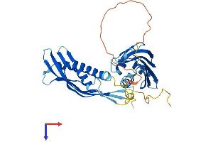 AlphaFold protein structure predicition of Mouse Recombinant Ahsa1 Protein, UniprotID Q8BK64
