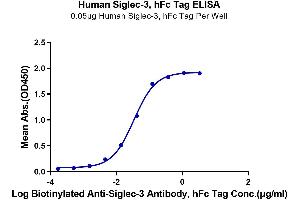 Immobilized Human Siglec-3 at 0. (CD33 Protein (CD33) (AA 18-259) (Fc Tag))